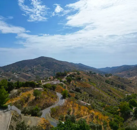 Sale of detached villa in Cómpeta