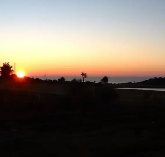 Sale of detached villa in Estepona