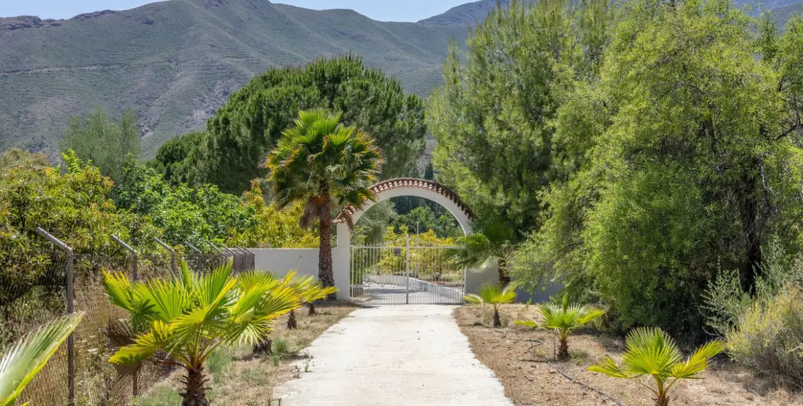 Sale of detached villa in Alhaurín el Grande 2