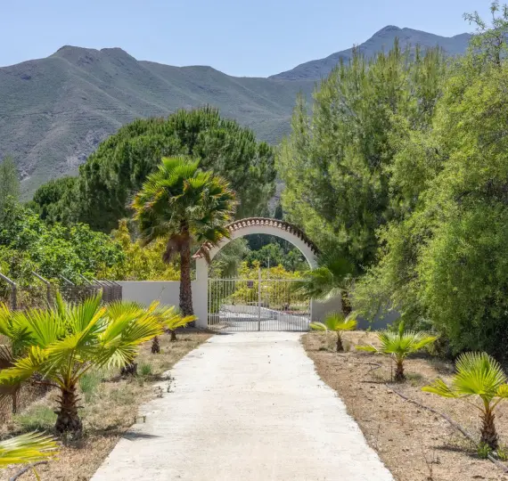 Sale of detached villa in Alhaurín el Grande