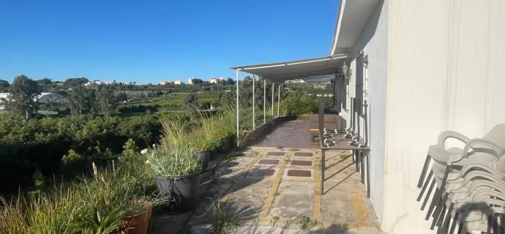 Venta de finca - cortijo en Guadalmansa 2
