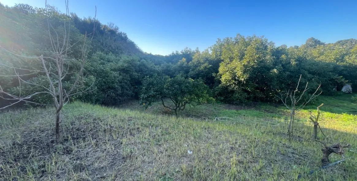 Продажа финки в Guadalmansa 12