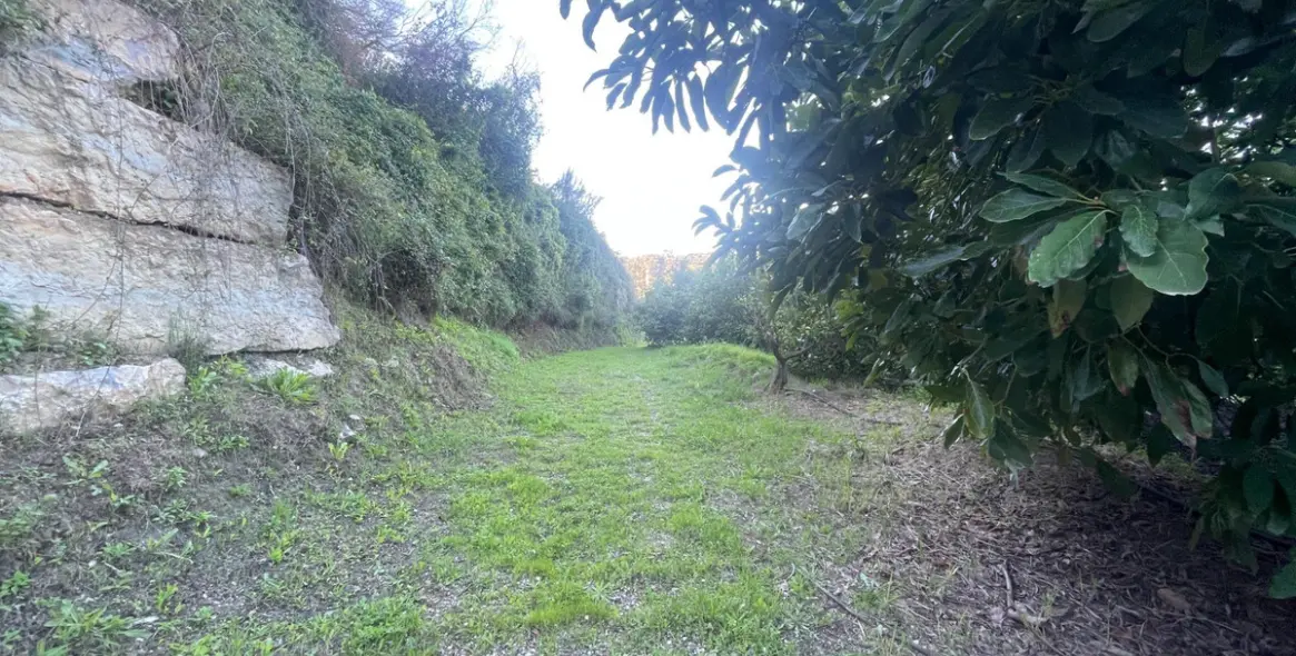 Продажа финки в Guadalmansa 13