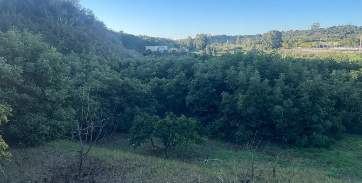 Продажа финки в Guadalmansa 15