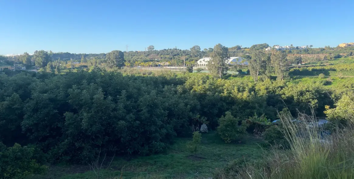 Продажа финки в Guadalmansa 16