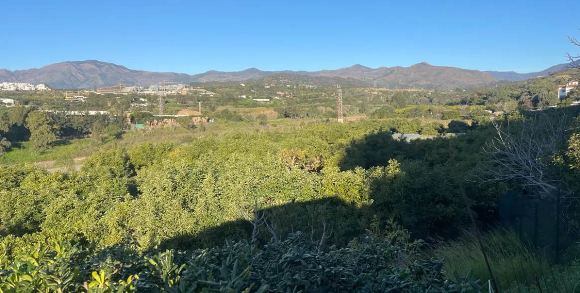 Продажа финки в Guadalmansa 17