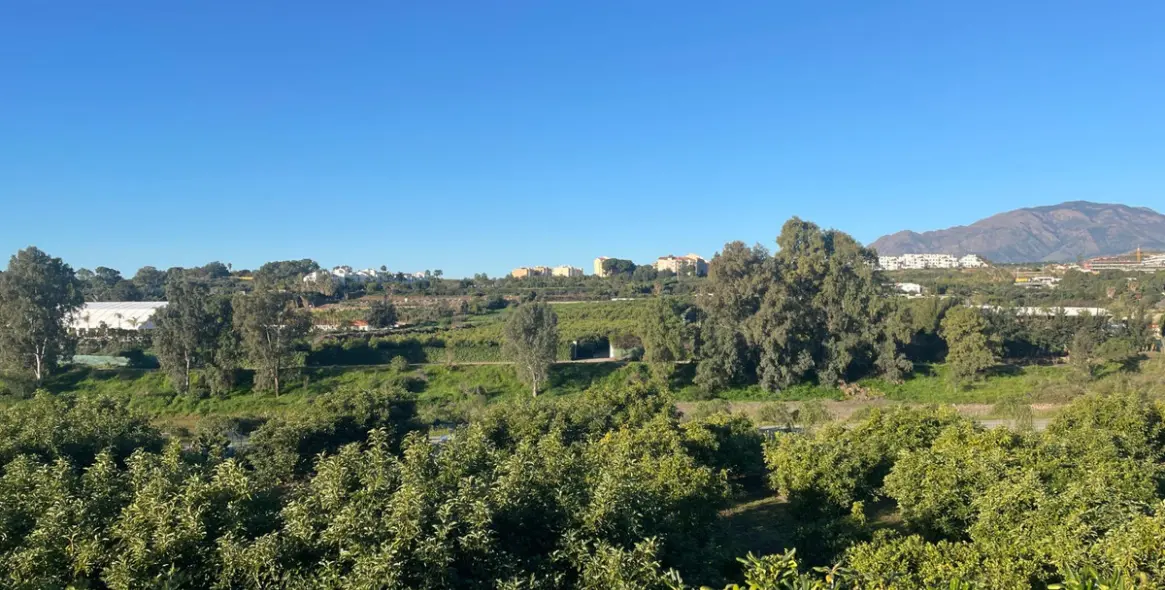 Продажа финки в Guadalmansa 18