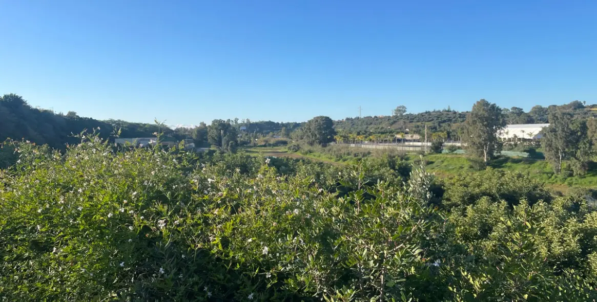 Продажа финки в Guadalmansa 19