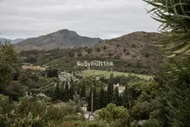 Image 12 thumb