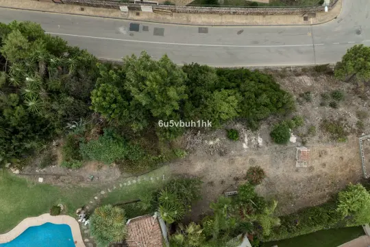 Image 7 thumb