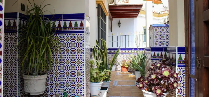 Sale of detached villa in Nerja 4