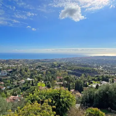 Sale of detached villa in Mijas