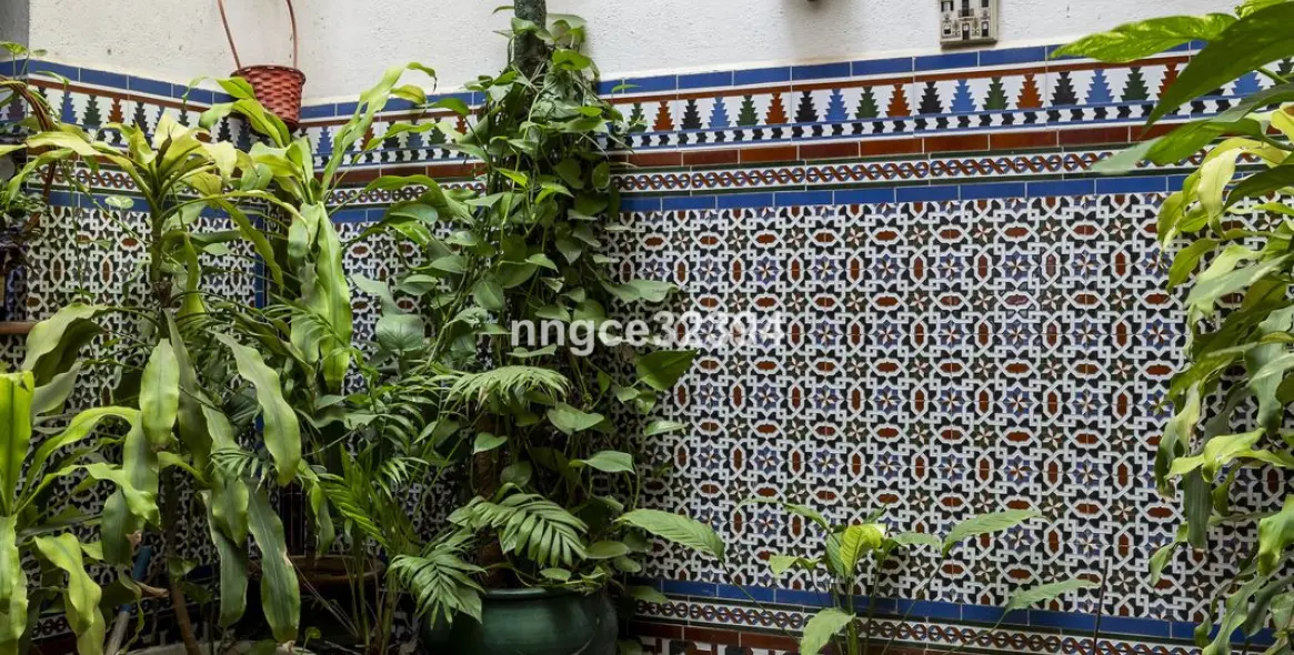 Sale of detached villa in San Pedro de Alcántara 10