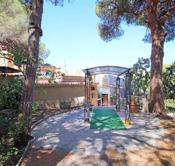 Sale of bar in Marbesa