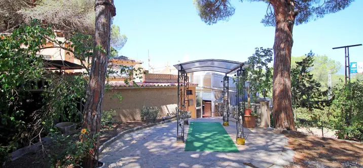 Sale of bar in Marbesa 1