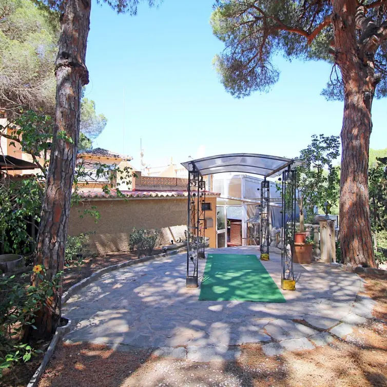 Sale of bar in Marbesa