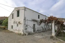 Image 4 thumb