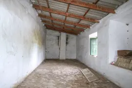 Image 7 thumb