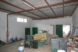 Image 12 thumb
