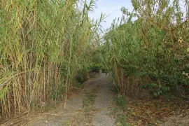Image 26 thumb