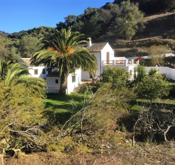 Venta de finca - cortijo en Casares