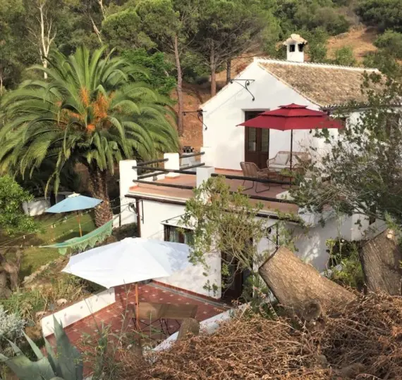 Venta de finca - cortijo en Casares