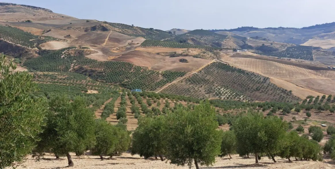 Venta de parcela residencial en Ronda 1