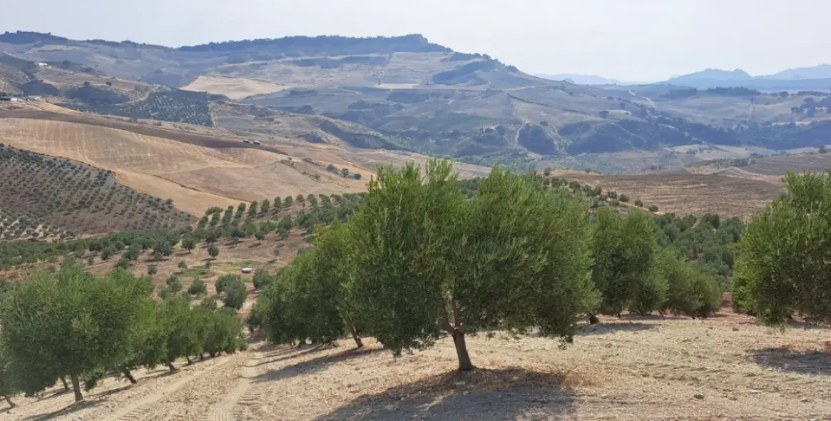 Venta de parcela residencial en Ronda 3