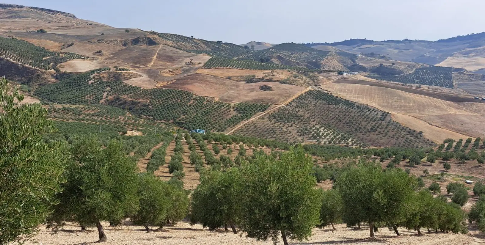 Продажа  жилого участка в Ronda 1