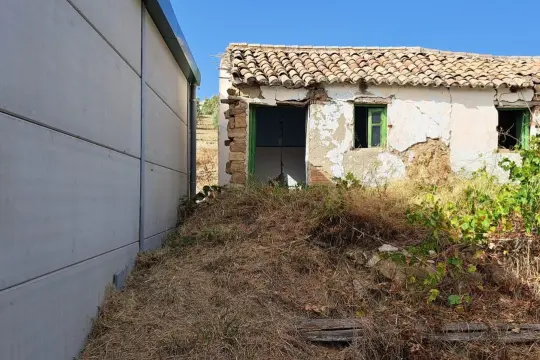 Image 4 thumb