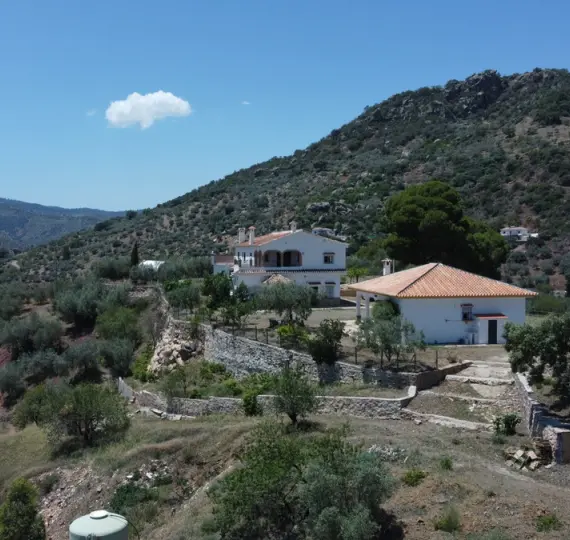 Detached villa R4361845