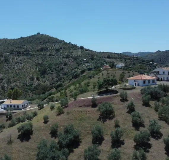 Detached villa R4361845