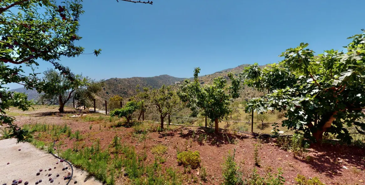 Sale of detached villa in Comares 29