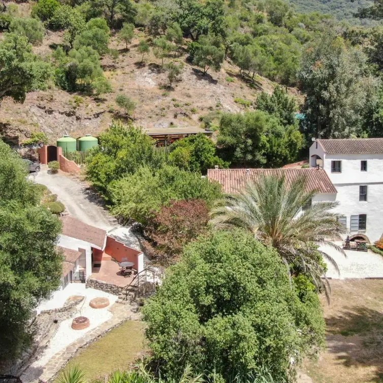 Sale of finca - cortijo in Gaucín
