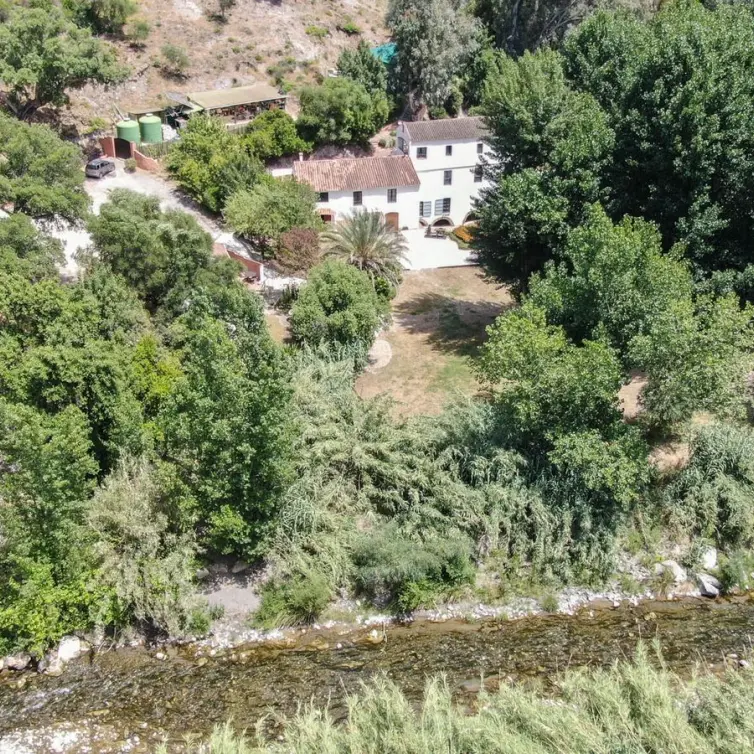 Sale of finca - cortijo in Gaucín