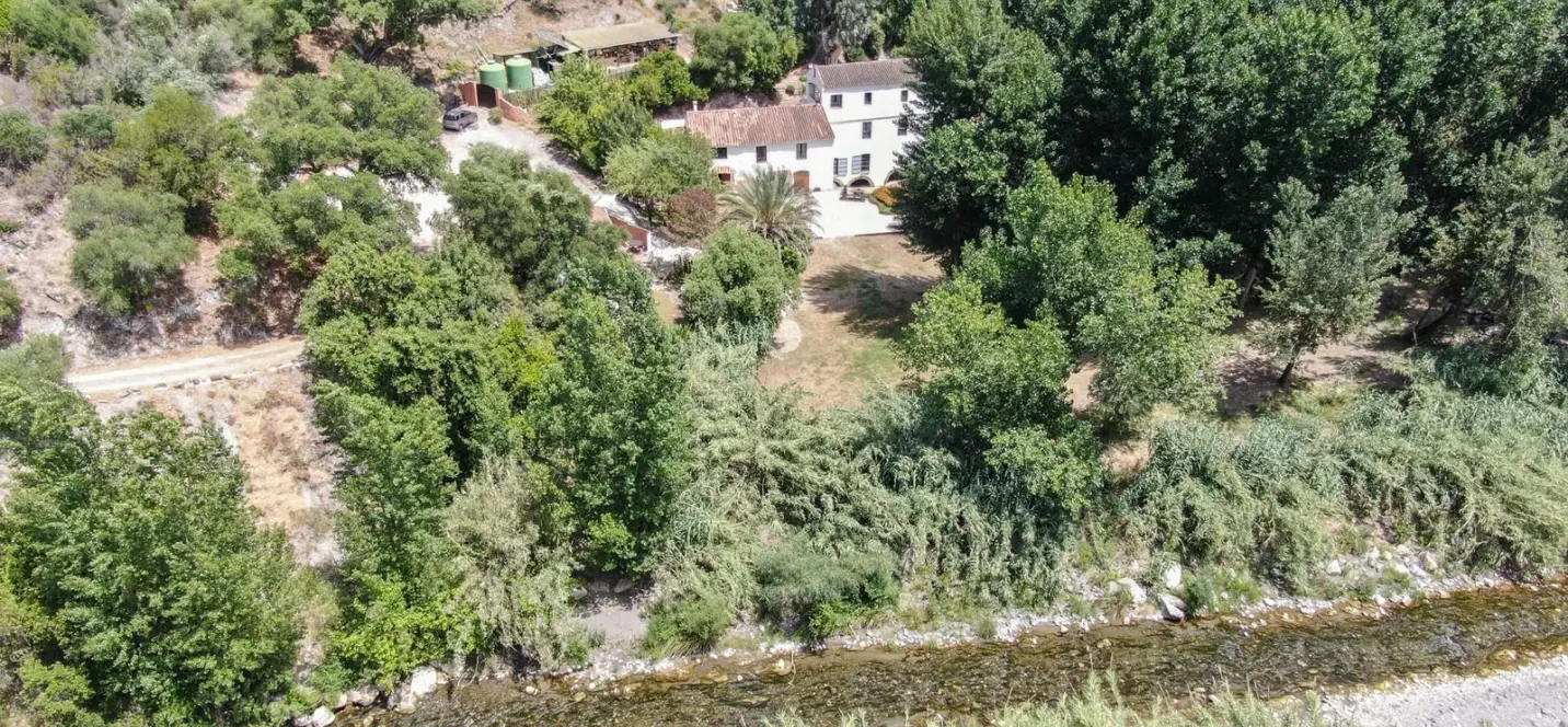 Sale of finca - cortijo in Gaucín 3