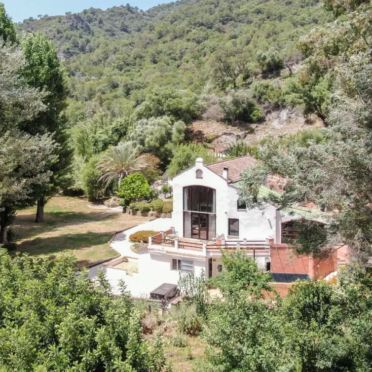 Sale of finca - cortijo in Gaucín