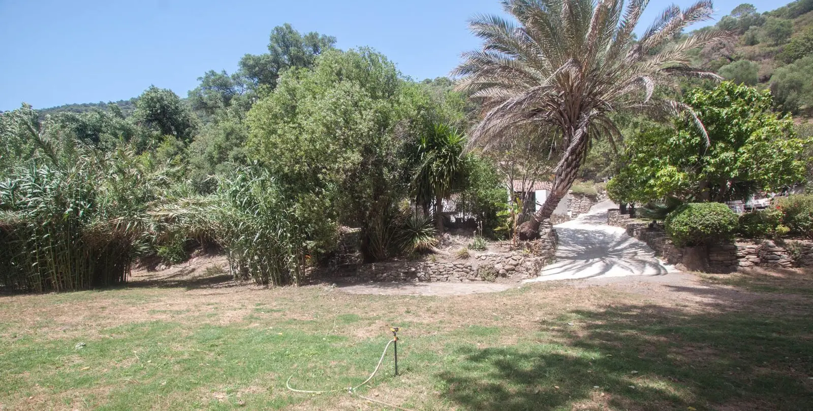 Sale of finca - cortijo in Gaucín 45