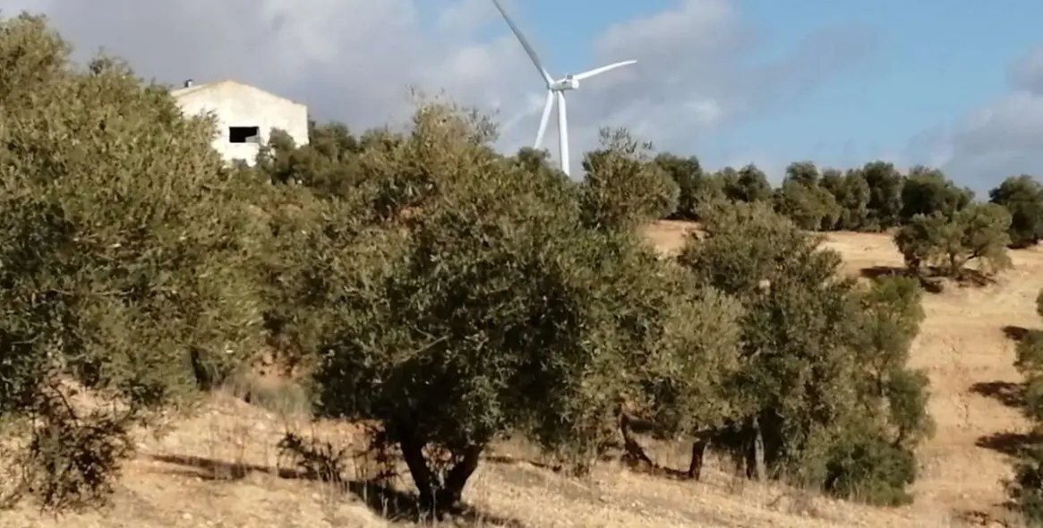 Продажа  жилого участка в Sierra de Yeguas 3