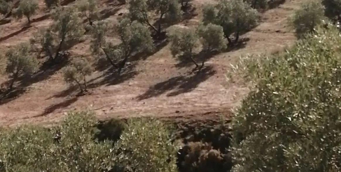 Продажа  жилого участка в Sierra de Yeguas 6