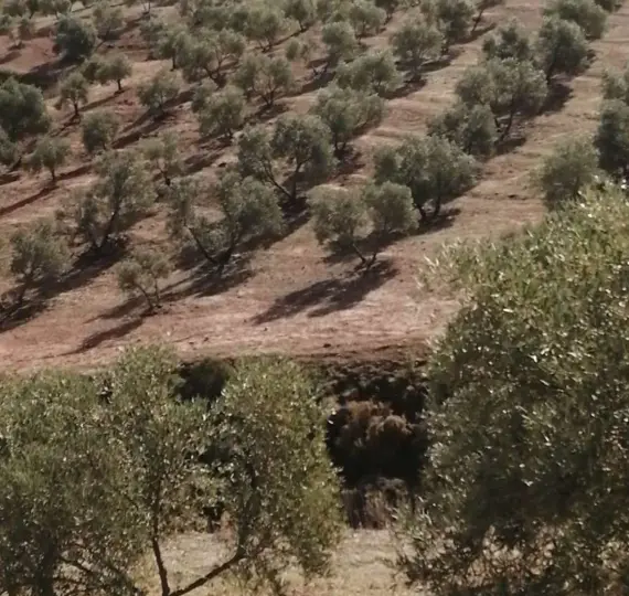 Venta de parcela residencial en Sierra de Yeguas