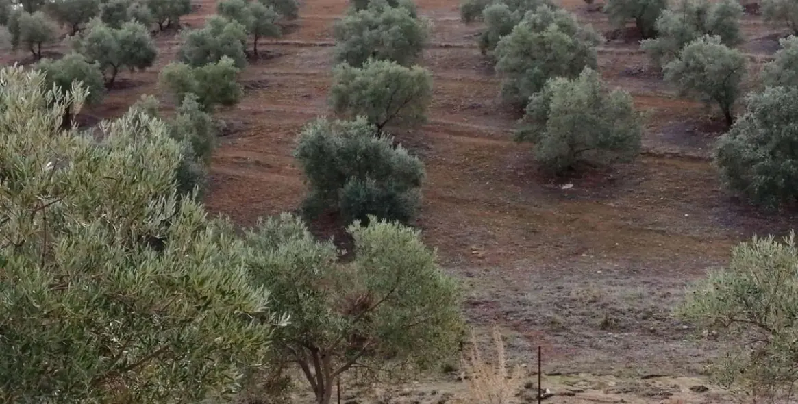 Продажа  жилого участка в Sierra de Yeguas 9