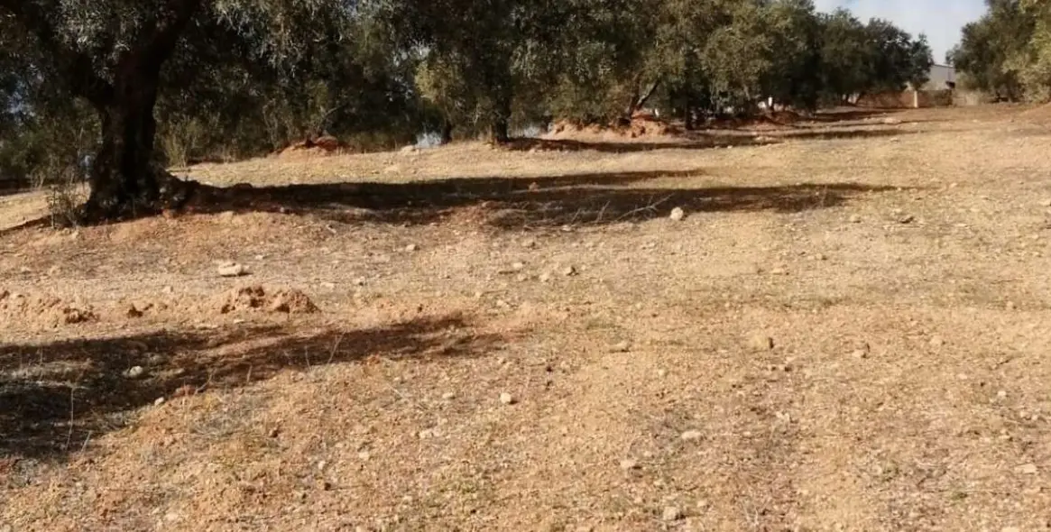 Продажа  жилого участка в Sierra de Yeguas 15