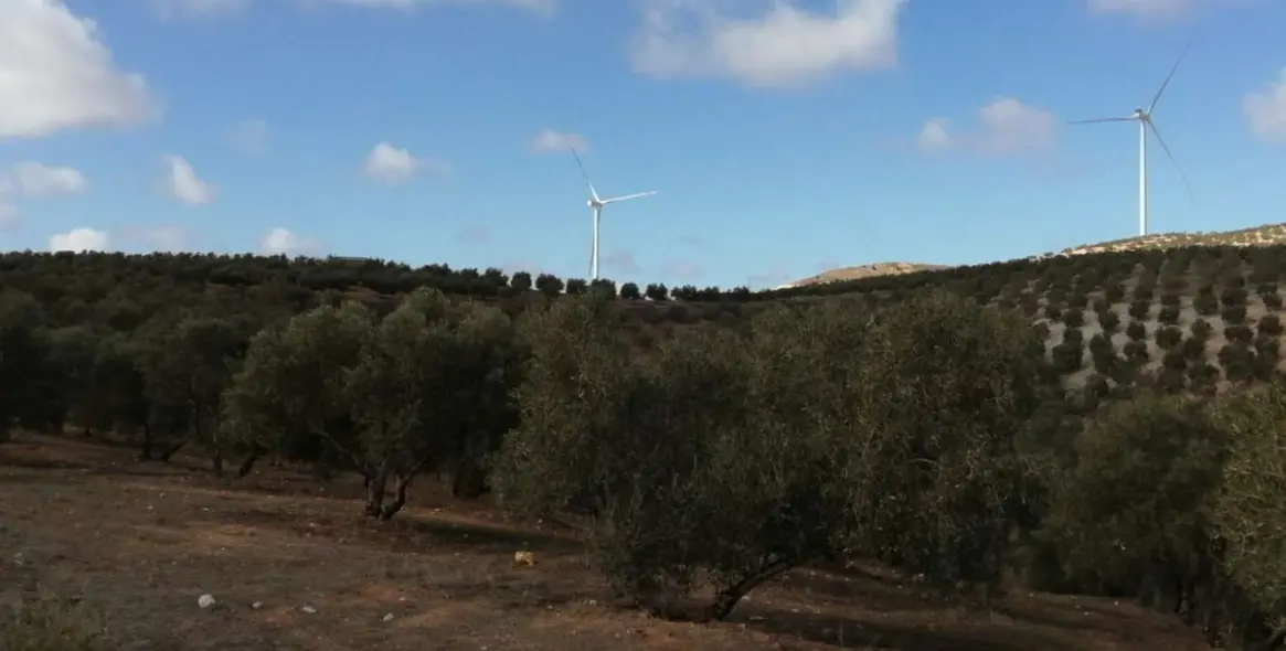 Продажа  жилого участка в Sierra de Yeguas 17