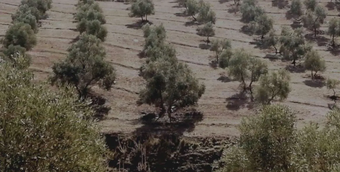 Продажа  жилого участка в Sierra de Yeguas 21