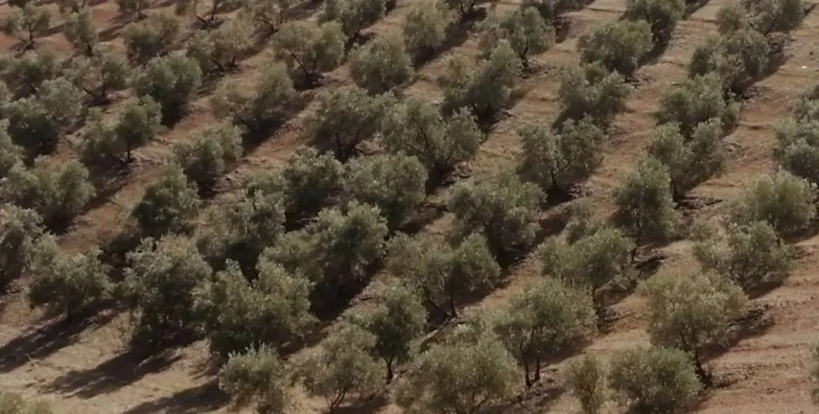 Продажа  жилого участка в Sierra de Yeguas 22