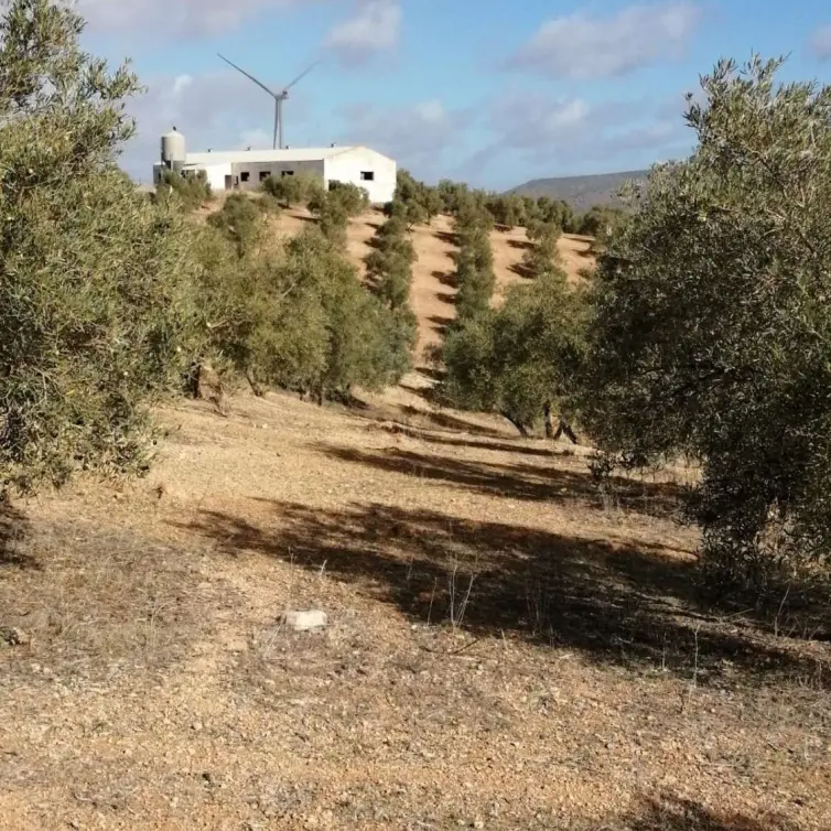 Продажа  жилого участка в Sierra de Yeguas