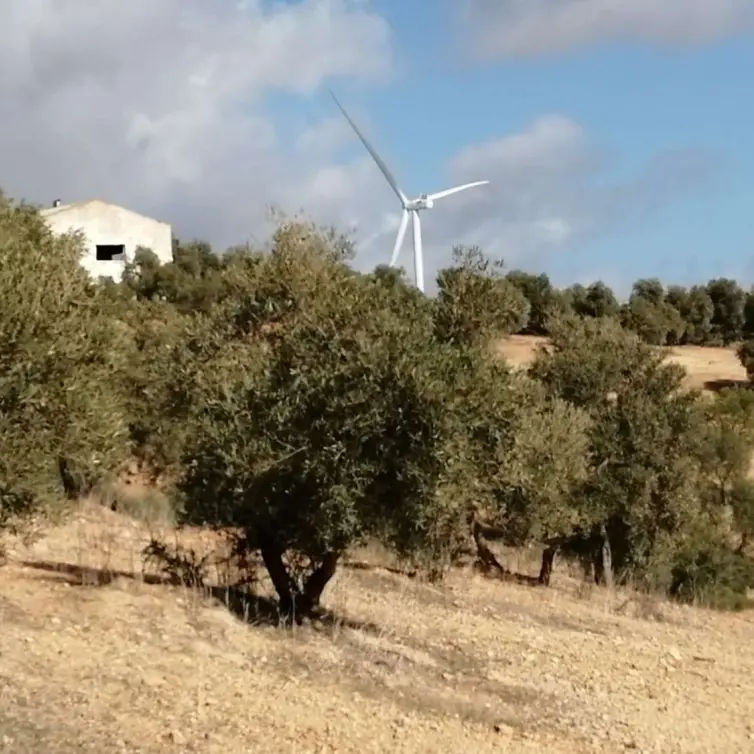 Продажа  жилого участка в Sierra de Yeguas