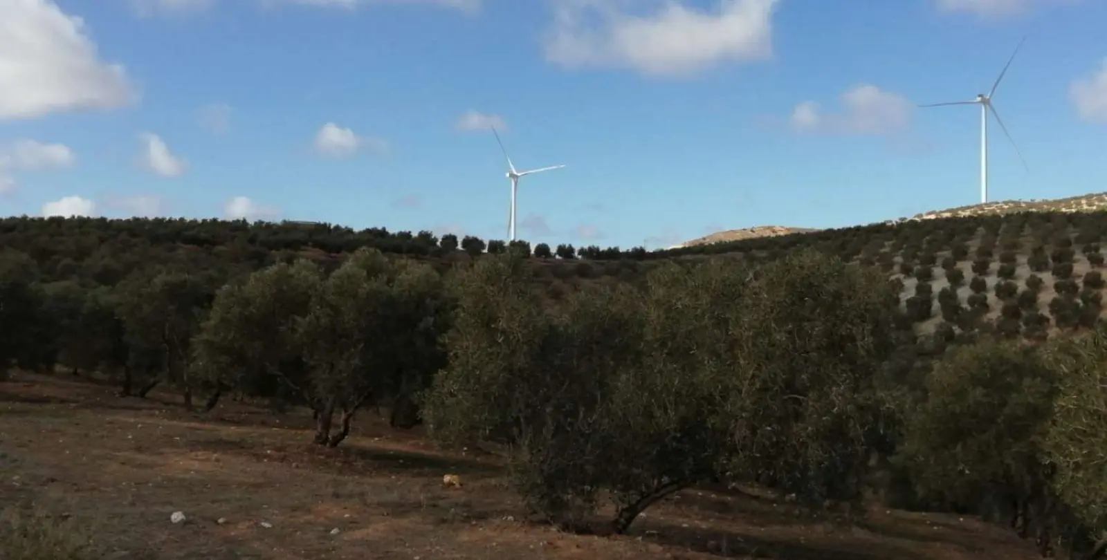 Продажа  жилого участка в Sierra de Yeguas 17