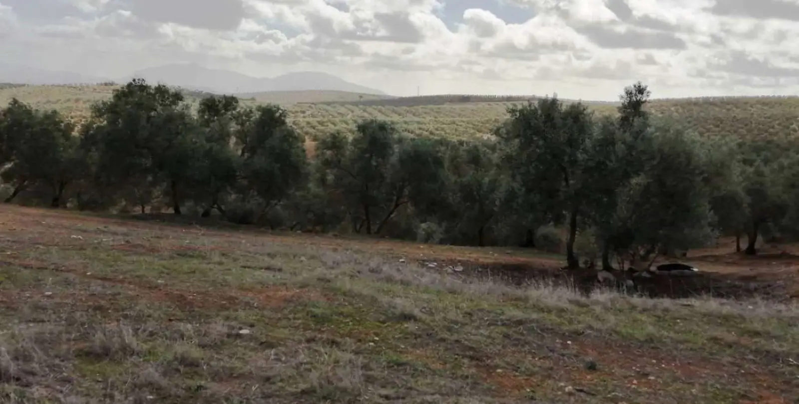 Продажа  жилого участка в Sierra de Yeguas 18